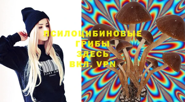 эйфоретик Осташков