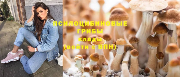 эйфоретик Осташков