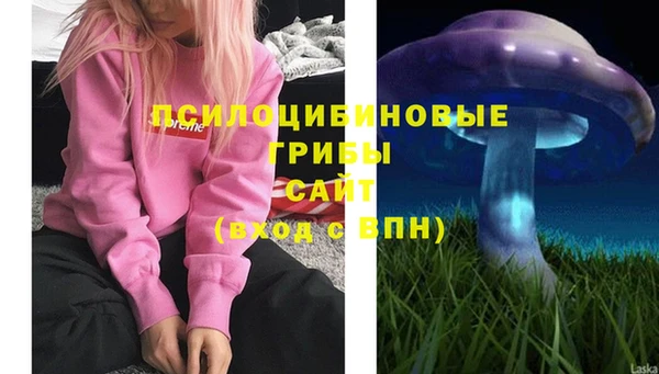 круглые Осинники